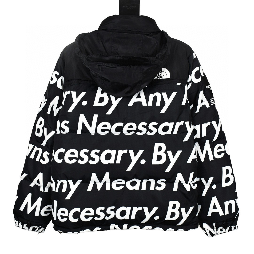 Supreme & TNF 15FW By Any Means Down Jacket 2 Colors